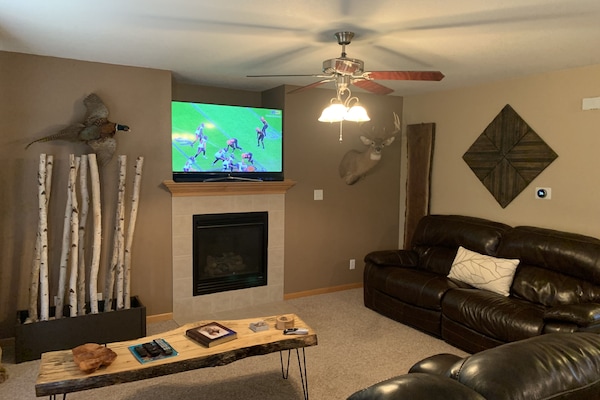 TV, fireplace, DVD player
