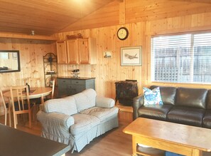 Televisión, chimenea y reproductor de DVD 