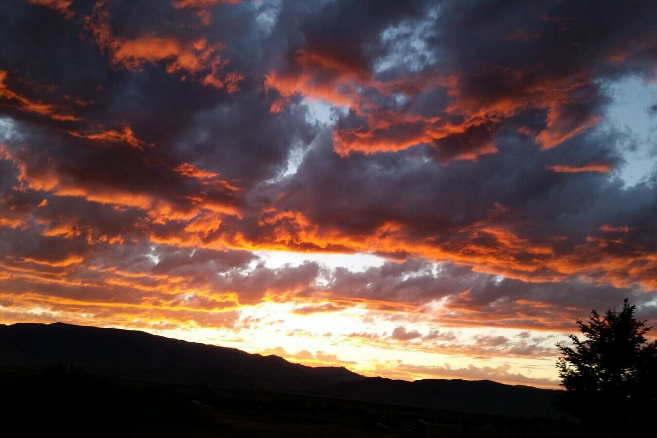A sunset over a mountainous landscape with a silhouette of a tree in the foreground.