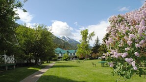 A well-maintained lawn with a pathway leading to a building with a green roof, surrounded by trees and a mountain in the background. - Elk Ridge cabin with great views near Yellowstone (Livingston)