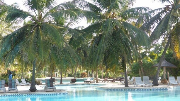 A pool area with lounge chairs and palm trees.