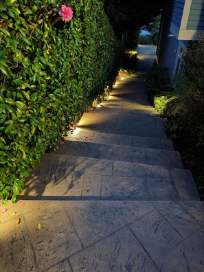 A stone pathway leading to a building, surrounded by dense green foliage and a pink flower.