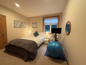 A bedroom with a bed, a nightstand, a lamp, a TV, a large exercise ball, and wall art.