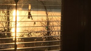 A window with horizontal blinds, a metal funnel-like object, and a reflection of a person in a pair of boots. - 3 bed Lake Sammamish Waterfront + Peloton Bike (Bellevue)