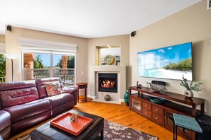 Télévision, cheminée, lecteur de DVD, livres