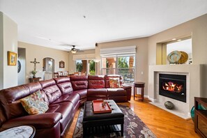 TV, fireplace, DVD player, books