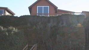 Una casa de playa con una escalera que sube a una ventana, rodeada de vegetación densa.