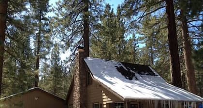 "Travieso pero agradable" - Knotty-Pine Cabin in the Pines