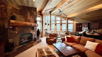 TV, fireplace, video games, DVD player