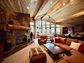 TV, fireplace, video games, DVD player