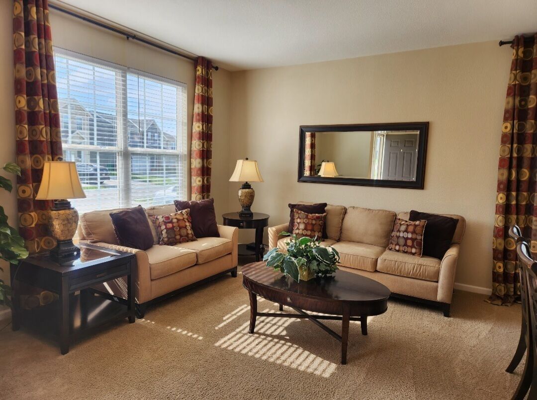 Una televisión, una chimenea, un reproductor de DVD