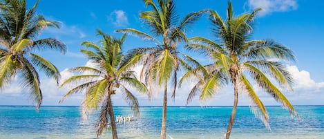 On the beach, sun-loungers