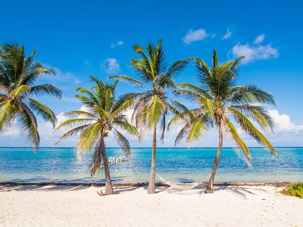 على الشاطئ، كراسي للتشمس