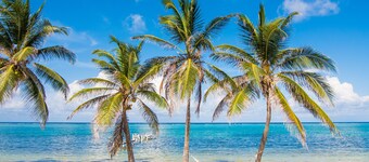 Cayman Snuggle Beach - 1 OR 2 Bedrooms right on the Beach!