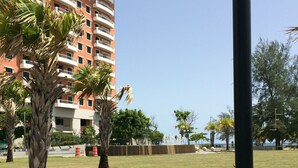 Un espacio al aire libre con pavimento, una banca, palmeras y un edificio con balcones al fondo.