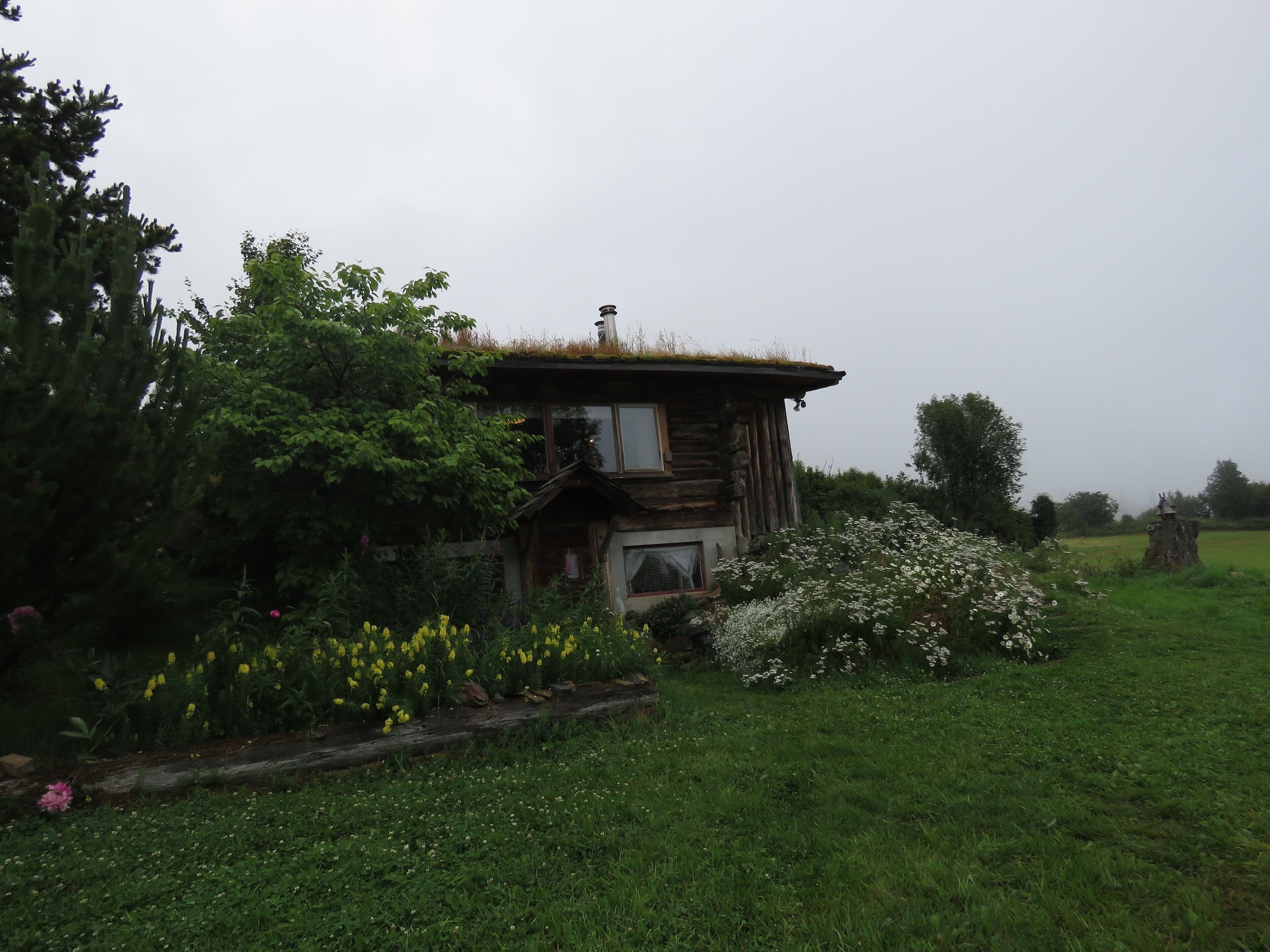 Eine rustikale Holzhütte mit einem strohgedeckten Dach, umgeben von üppigem Grün und blühenden Pflanzen.