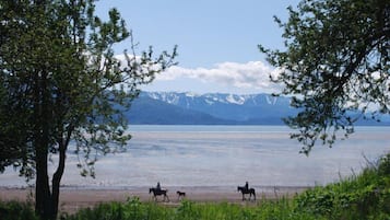 På stranden