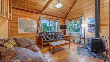 Smart TV, chimenea, reproductor de DVD, libros