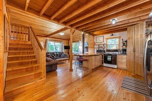 スマートテレビ、暖炉、DVD プレーヤー、書庫