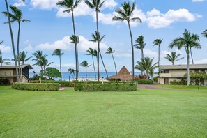 Property grounds - Napili Shores C116 Spacious Studio Beach Chic, Walk to Sandy Napili Bay (Lahaina)