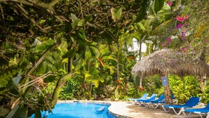 A swimming pool with clear blue water, surrounded by lush greenery and a thatched-roof structure. - Cabarete - on Kite Beach - Luxury Beachfront Condo w Gardens, Pool & Internet   (caberate)