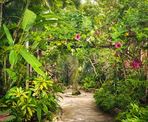 Property grounds - Cabarete - on Kite Beach - Luxury Beachfront Condo w Gardens, Pool & Internet   (caberate)