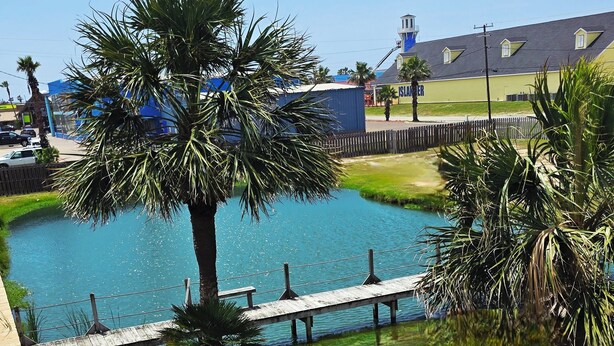 A view of a swimming pool surrounded by palm trees and a wooden dock. - Port Aransas condo in the heart of town' LP217B (Port Aranasas)
