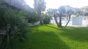 A grassy area with palm trees and a fenced pool area. - Port Aransas condo in the heart of town' LP217B (Port Aranasas)