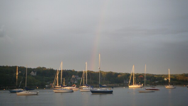 A marina with several sailboats docked.