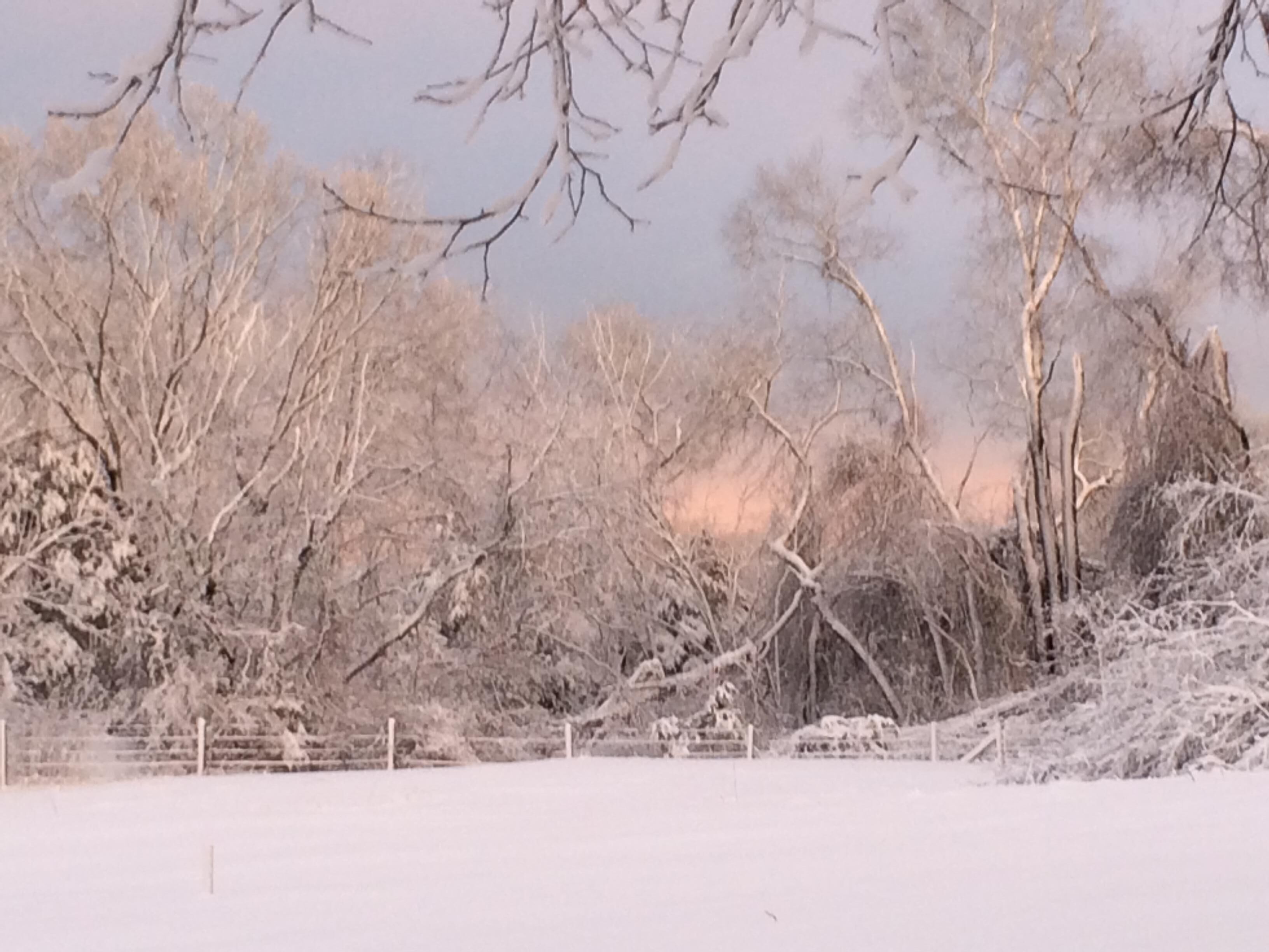 雪地及滑雪運動