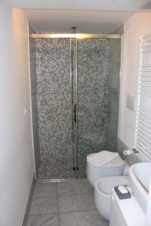 Shower, hair dryer, bidet, towels