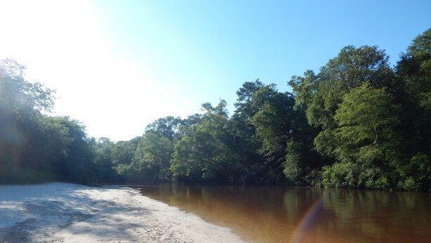 A riverbank with sandy shore and dense green trees in the background. - Wendell’s Place on Red Creek - Uncle Ralph’s Cabin Rentals - PRIVATE BEACH (Perkinston)