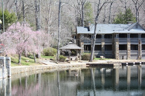 Rustic Mountain Joy in 1914 Cabin
