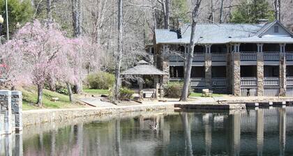 Rustic Mountain Joy in 1914 Cabin