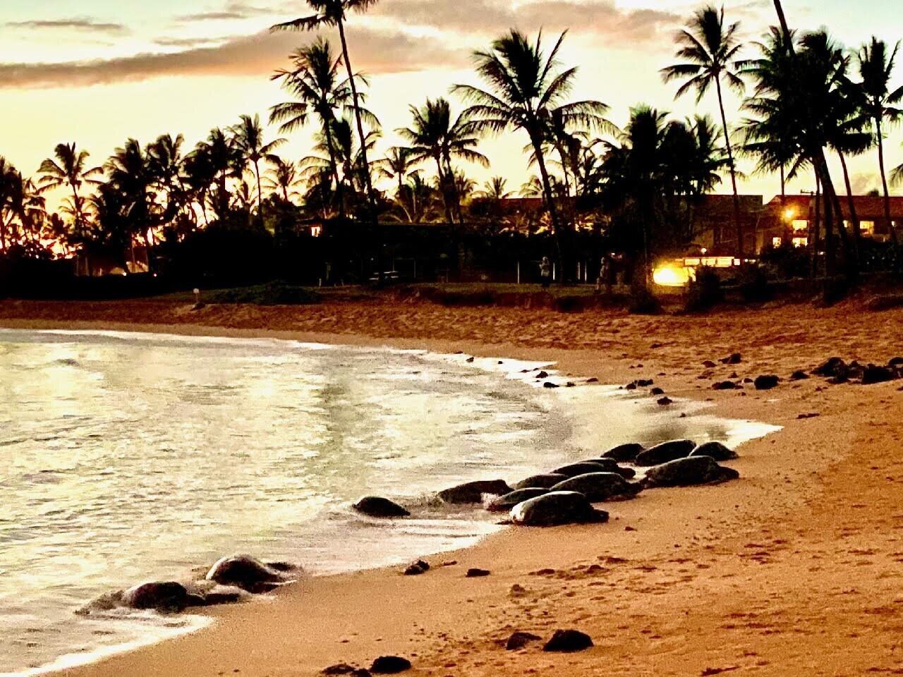 Una playa con palmeras y un edificio al fondo.