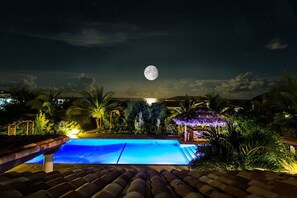 En swimmingpool om natten med fuldmåne på himlen, omgivet af tropiske planter og en stråtækt bygning.