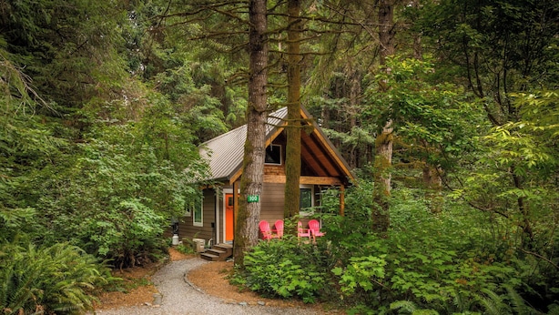A rustic cabin with a gravel path leading to it, surrounded by dense forest. - Newly built deluxe cabins, in a private redwood setting near the Smith River (Hiouchi)