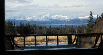 You have to get out-of-town to see the wildlife