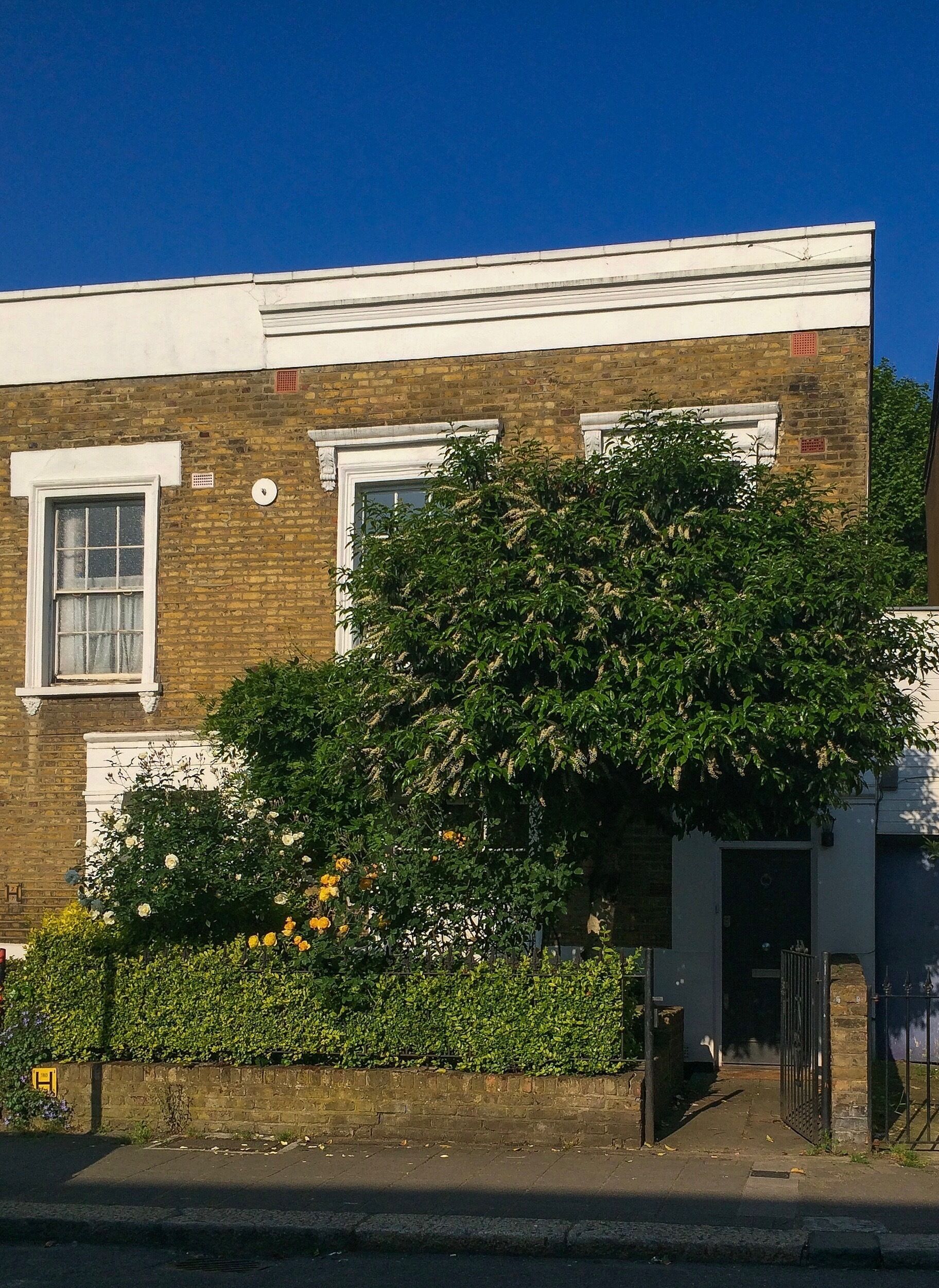 Un edificio de ladrillo de dos pisos con marco de ventana blanco, una puerta con reja negra y un gran árbol con hojas verdes y flores amarillas al frente.