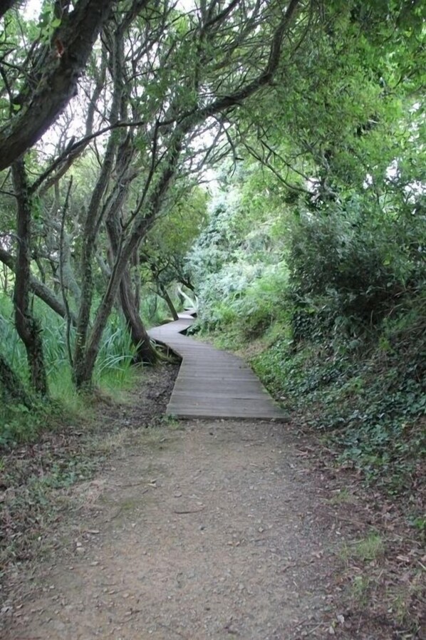 Una passerella in legno in una zona boschiva.