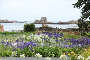En kysthave med mange blomster og en klippefyldt kystlinje i baggrunden.