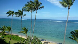 A beach with palm trees and a clear view of the ocean. - Spacious one bedroom condo on a white sandy beach! (Hauula)