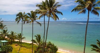 Spacious one bedroom condo on a white sandy beach!