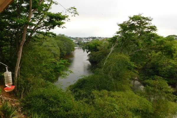 The View from Our deck