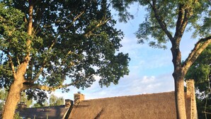 Een rustiek huis met rieten dak, omgeven door weelderig groen en bomen.