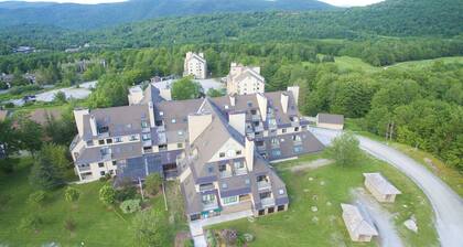 Amazing Mountain Condo - Kävele / kuljetus hiihto- ja putkipuistoon