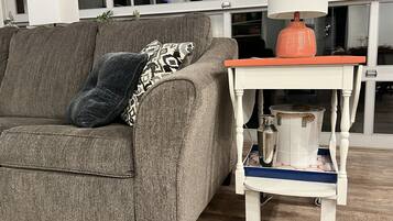 Smart TV, DVD player, books, video library