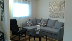 Smart TV, DVD player