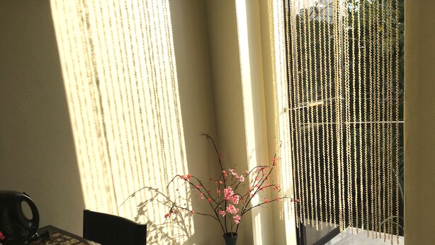 A room with a table, a chair, a vase with flowers, and a sliding door with a chain curtain. - Cozy private apartment - Walk to the center (Dumaguete City)