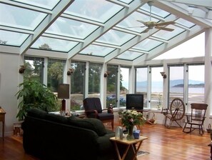Smart TV, fireplace, DVD player, books